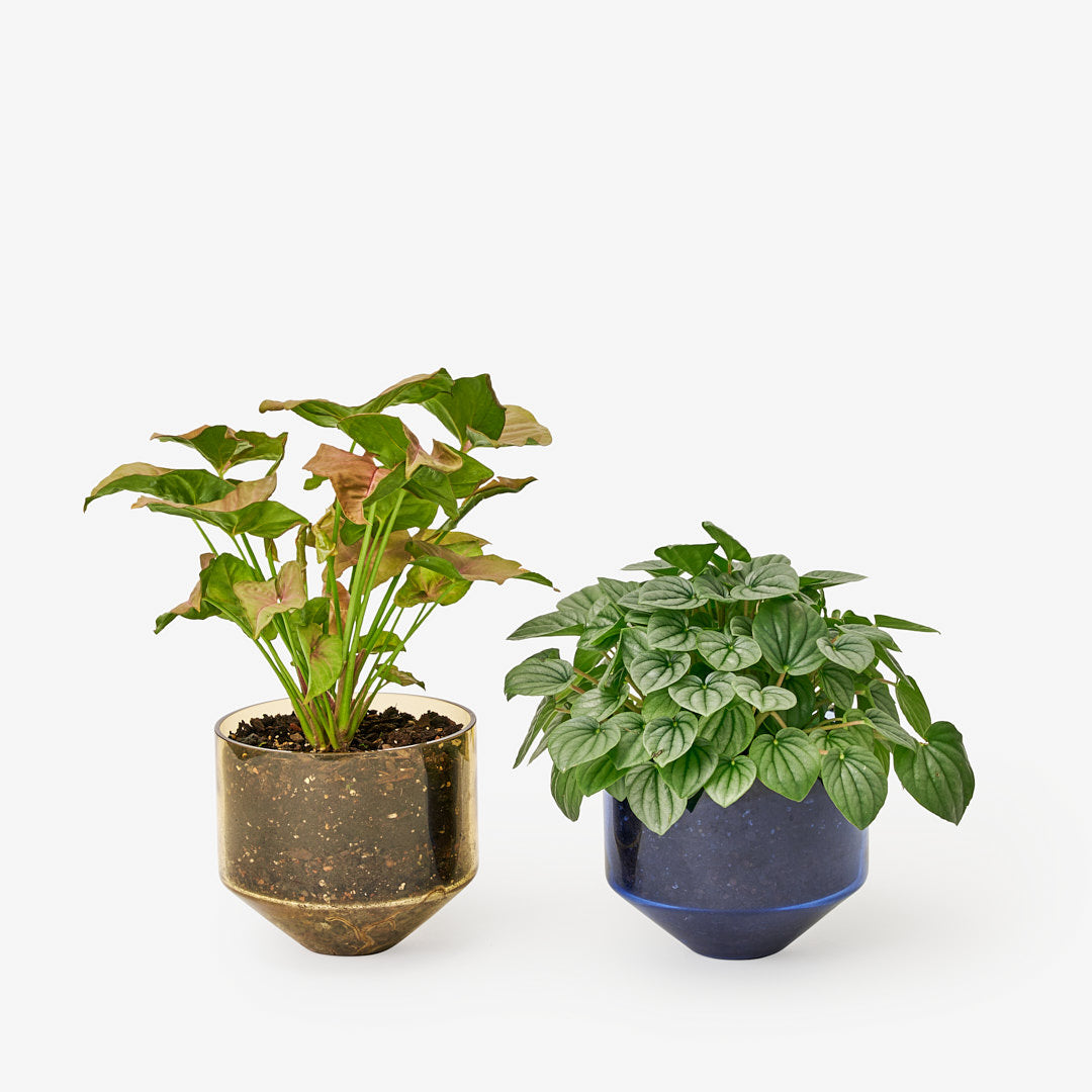 Nicho Composite Pot Planter Set (Set of 3) Arlmont & Co.