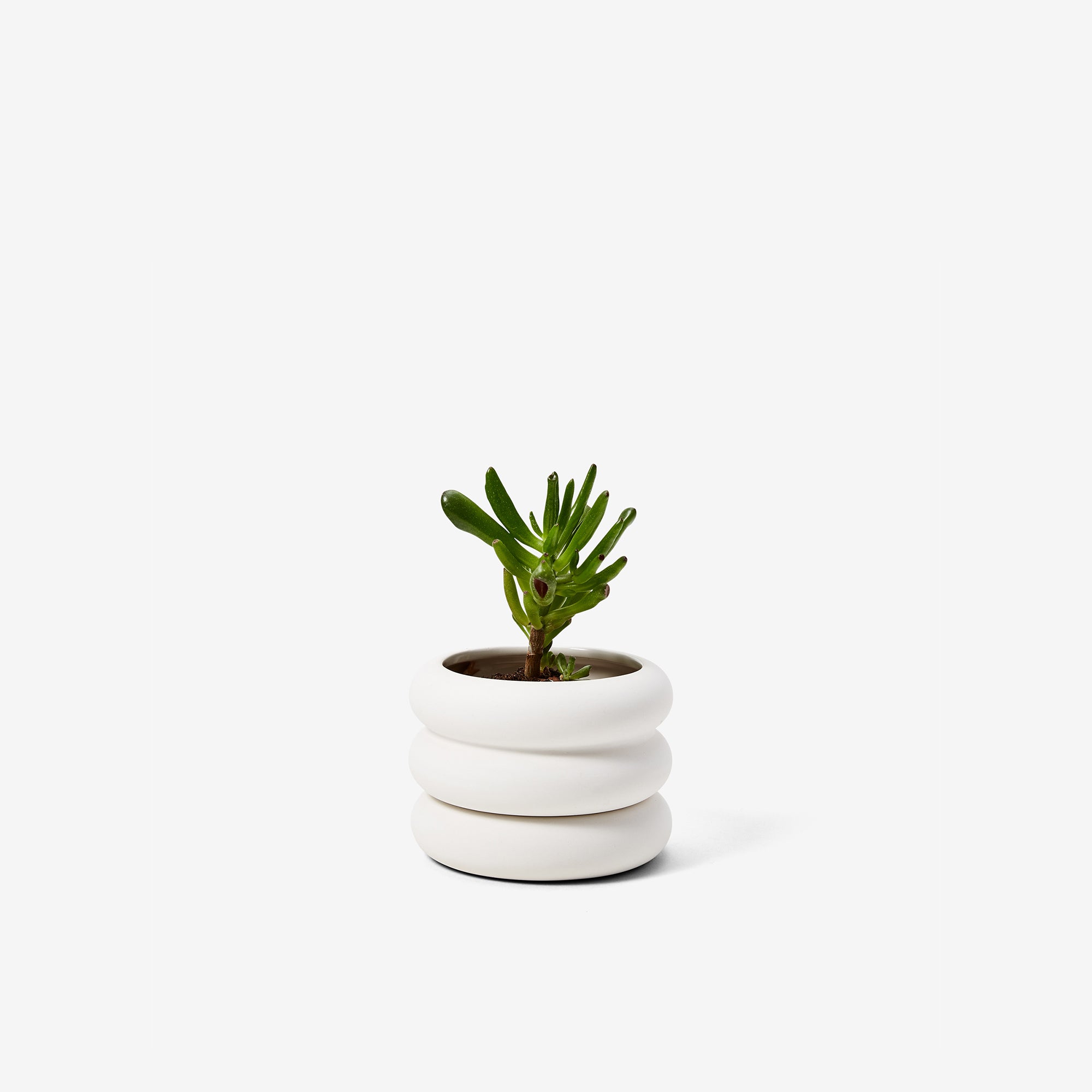 Short Stacking Mini Planter - Areaware