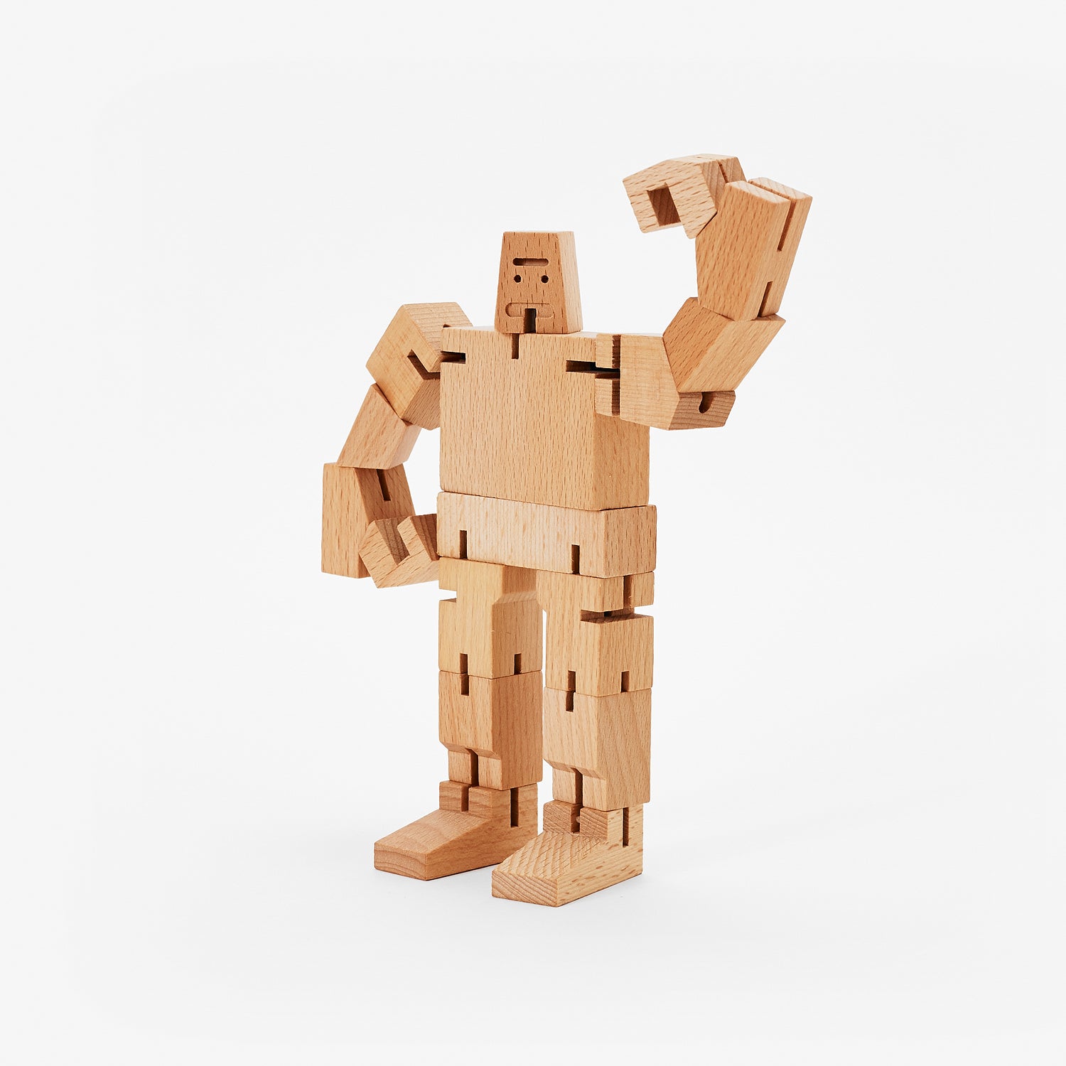 Cubebot® Challenge