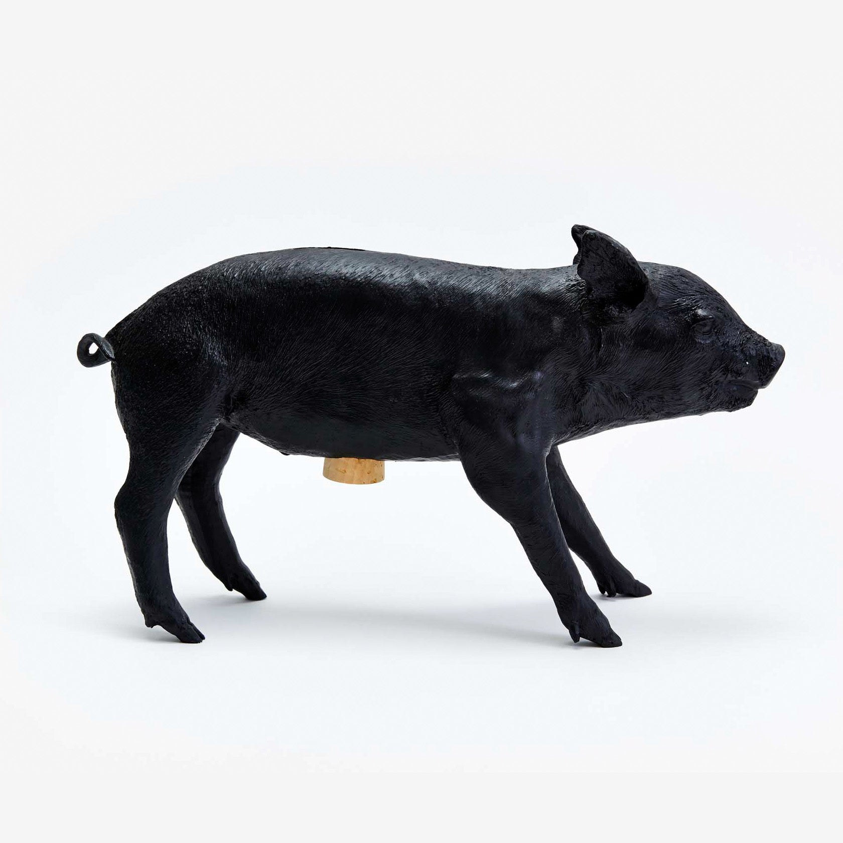 Reality Bank in the Form of a Pig