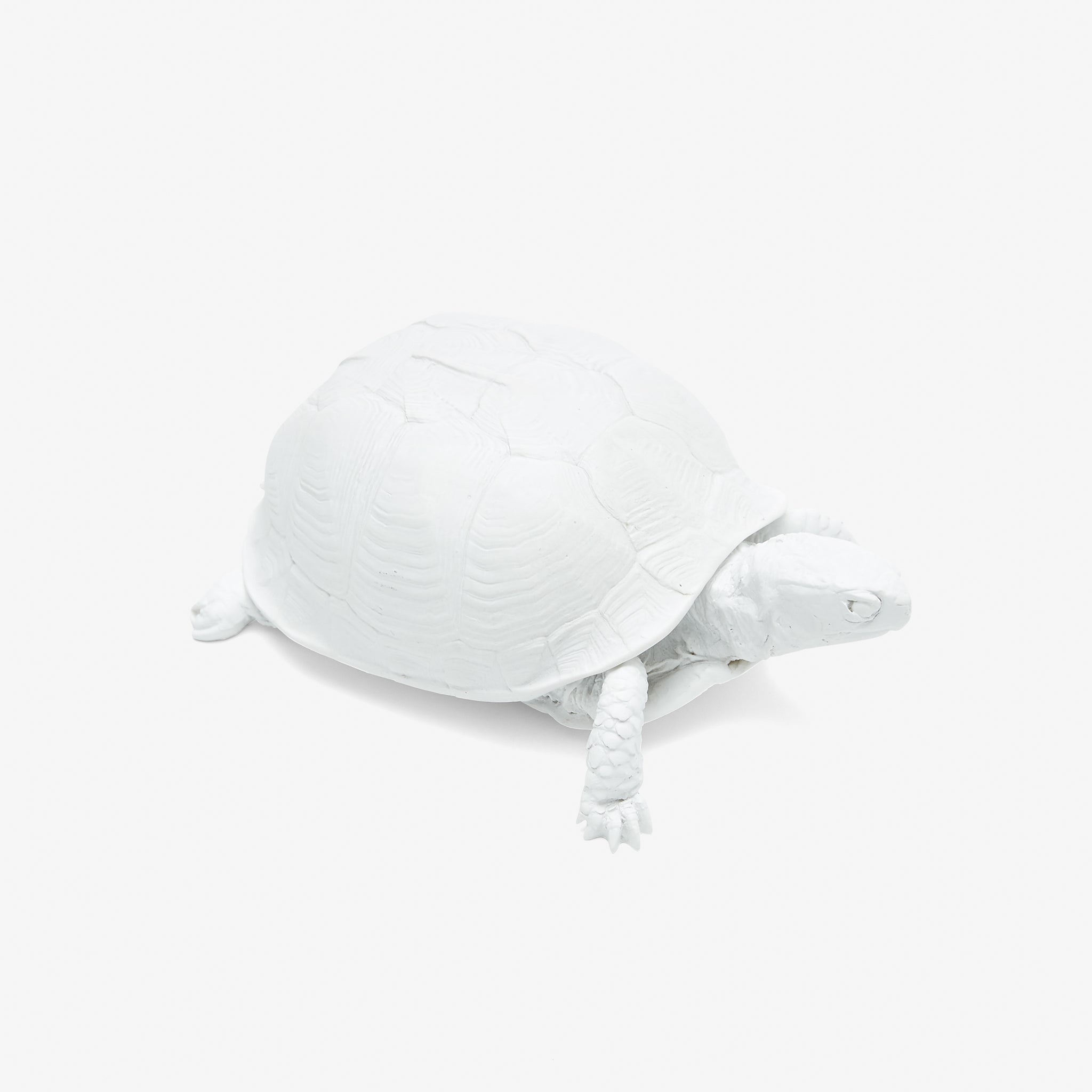 Reality Box Turtle Box